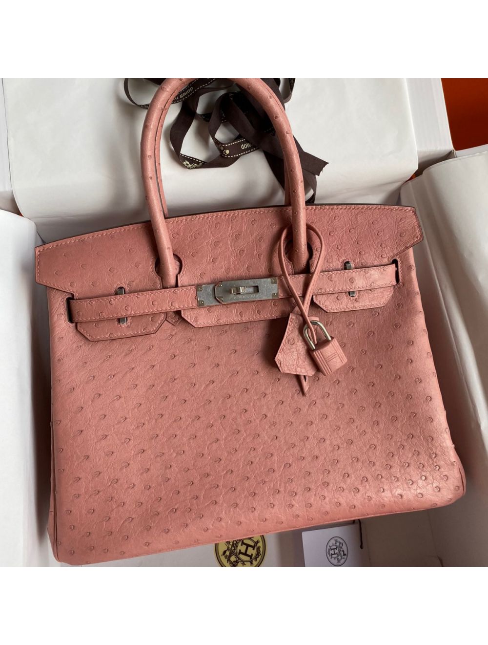 Hermes Terre Cuite Ostrich Leather Birkin 25 Bag GHW For Sale at